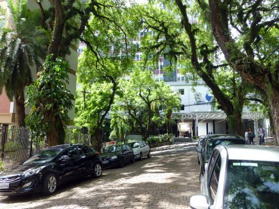 Rua Gonçalo de Carvalho